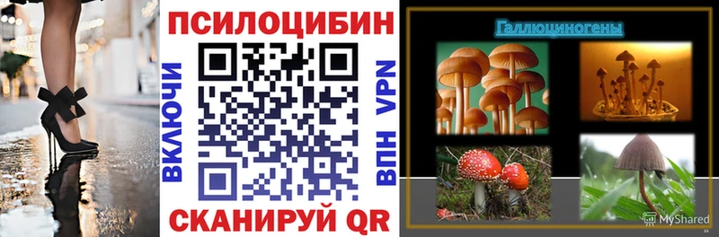 наркота  Дубовка  Псилоцибиновые грибы Psilocybine cubensis 